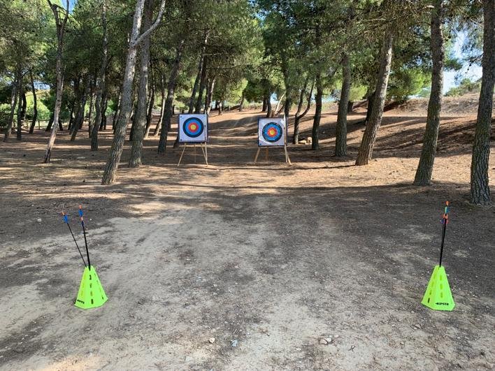 dianas y flechas en un bosque