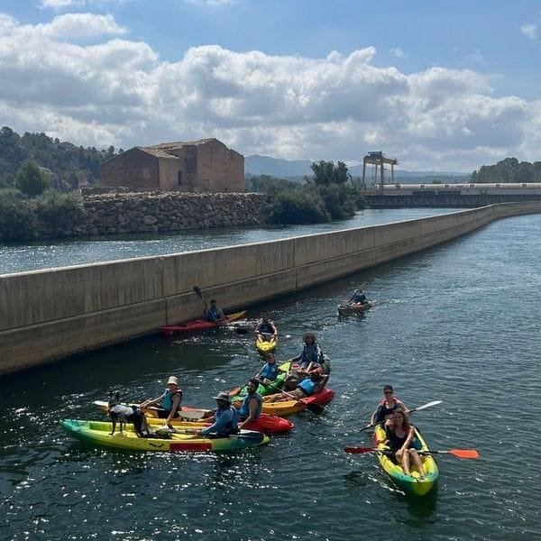Descens en caiac de Benifallet a Xerta, assut del riu Ebre