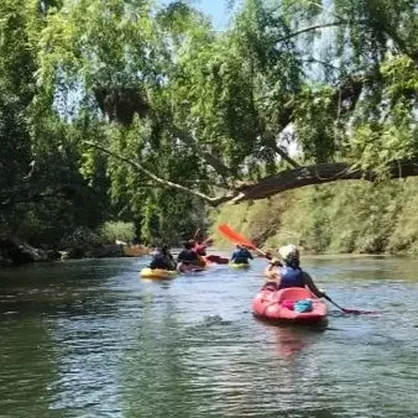 Ruta en caiac Miravet Benifallet envoltada de natura